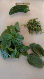 Fresh Herbs from Plant