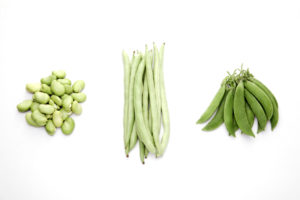 Lima Beans, Green Beans, Snap Peas