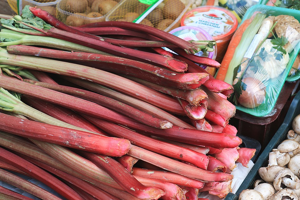rhubarb